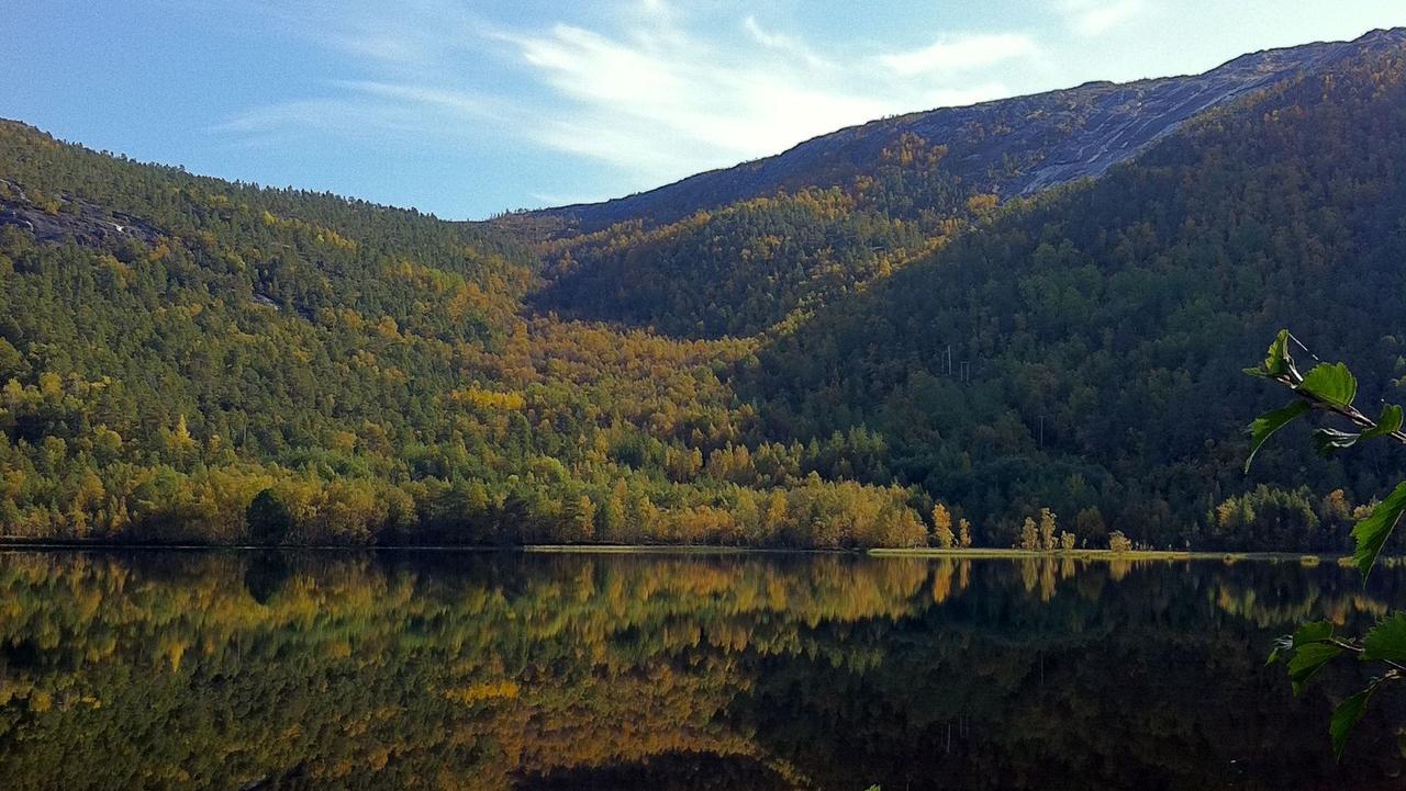 Hotel Tommerneset Camping Innhavet Zewnętrze zdjęcie