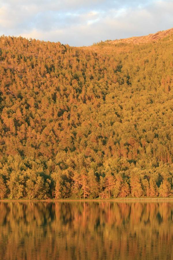 Hotel Tommerneset Camping Innhavet Zewnętrze zdjęcie